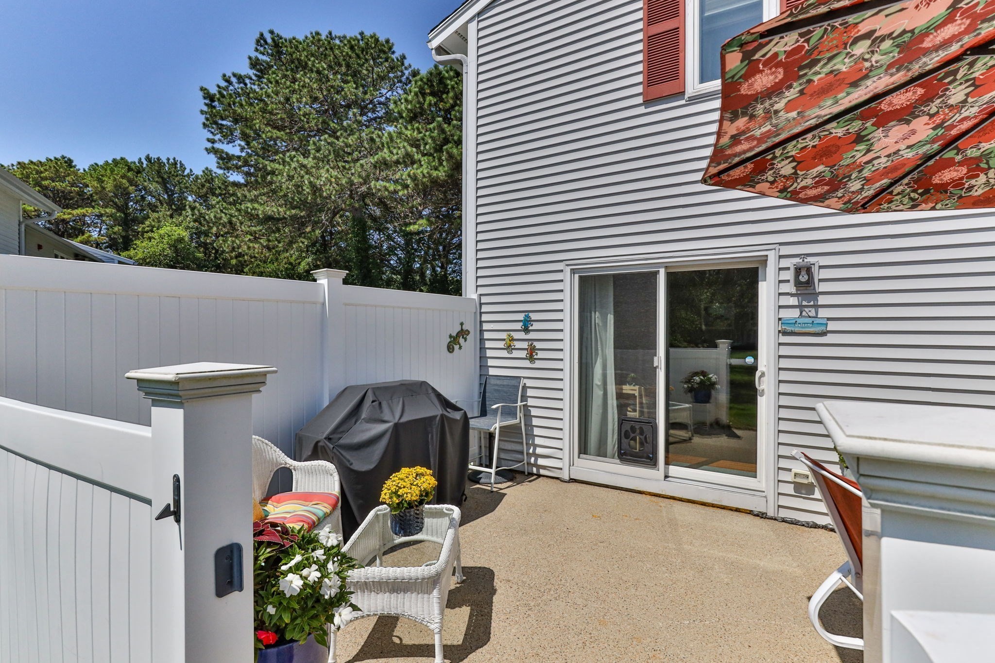 mashpee - #73411374