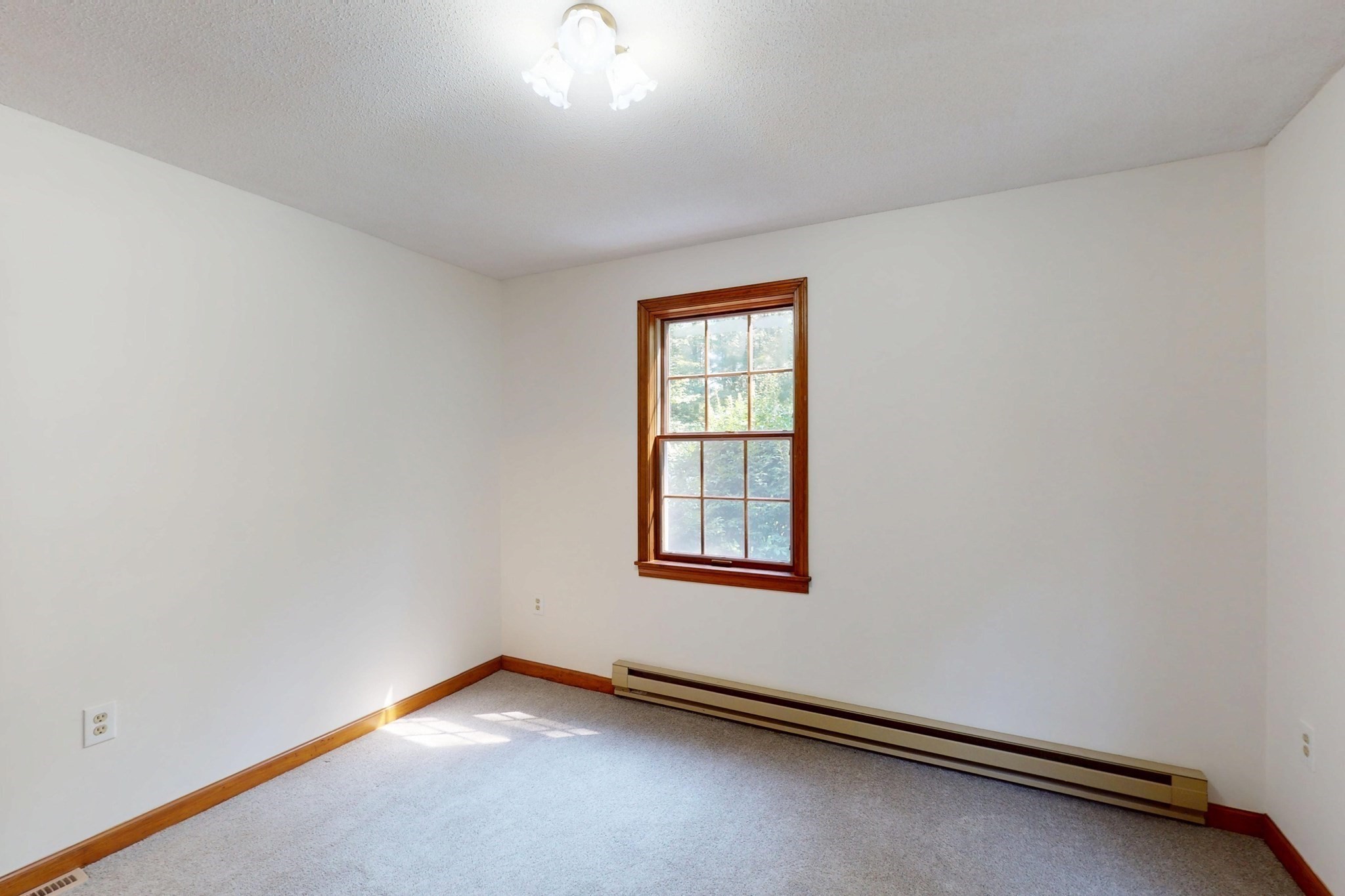 belchertown - #73411401