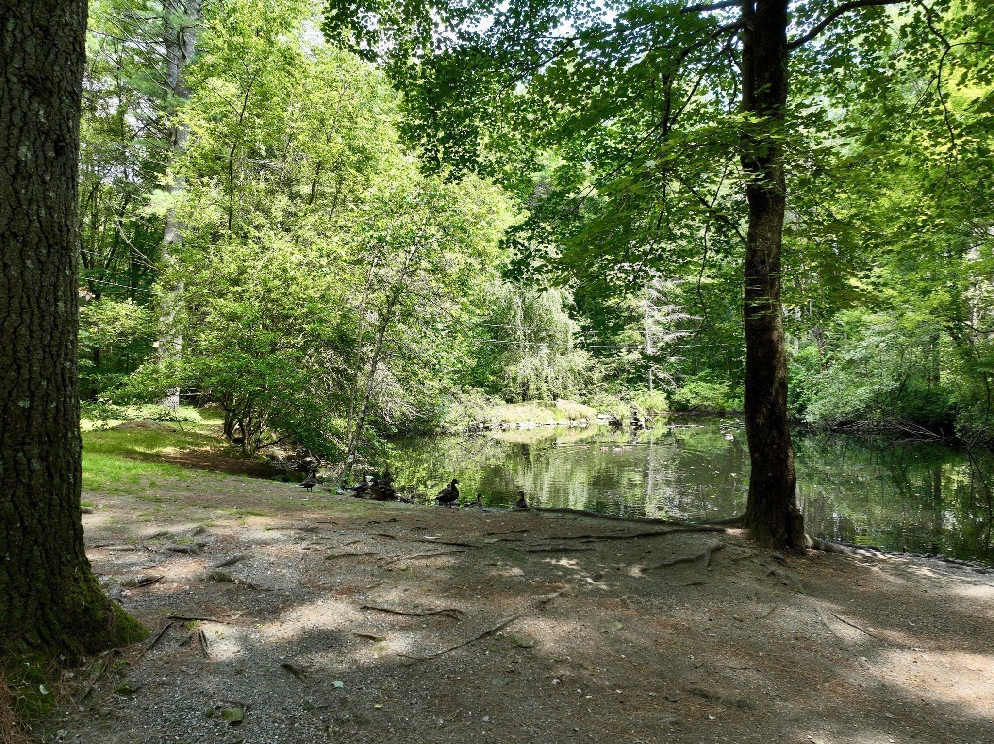 belchertown - #73411401