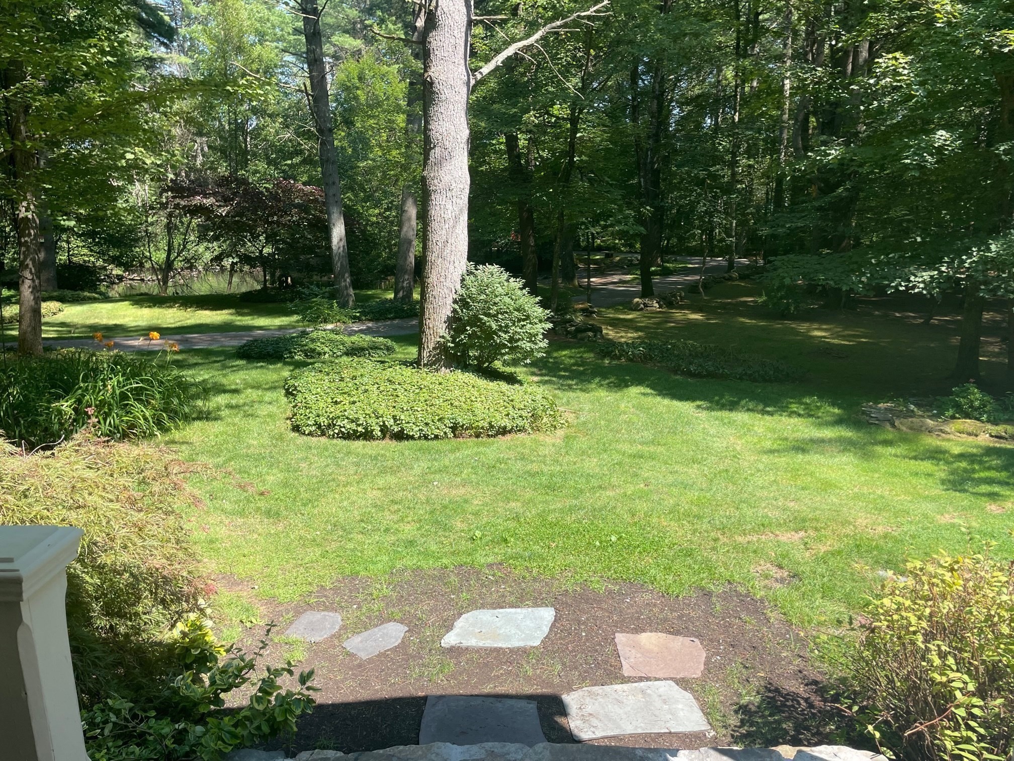 belchertown - #73411401