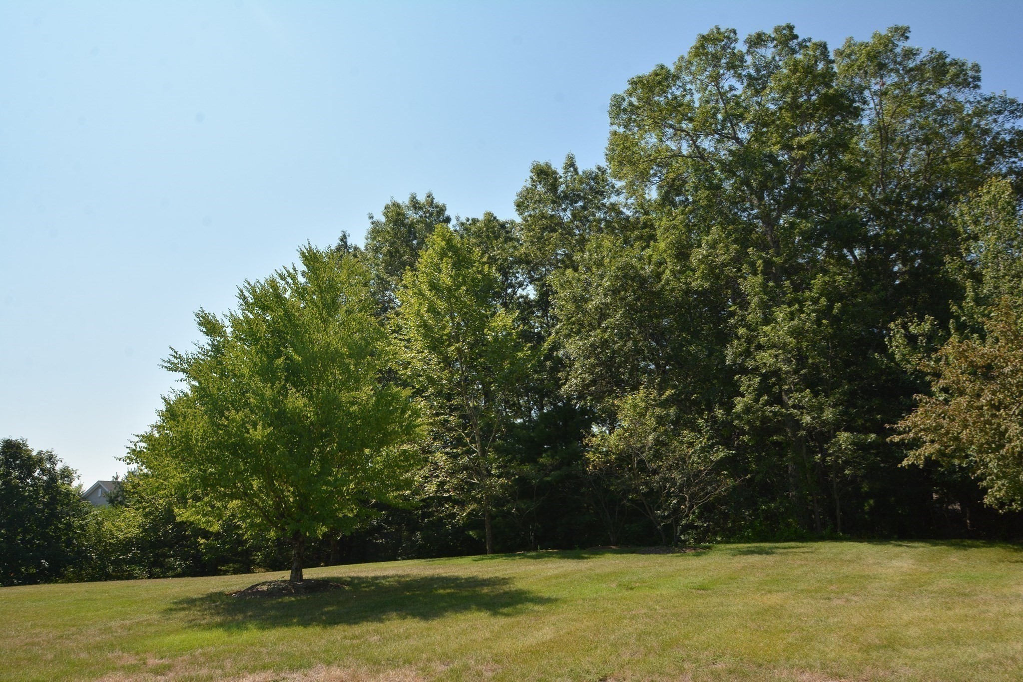 methuen - #73411415