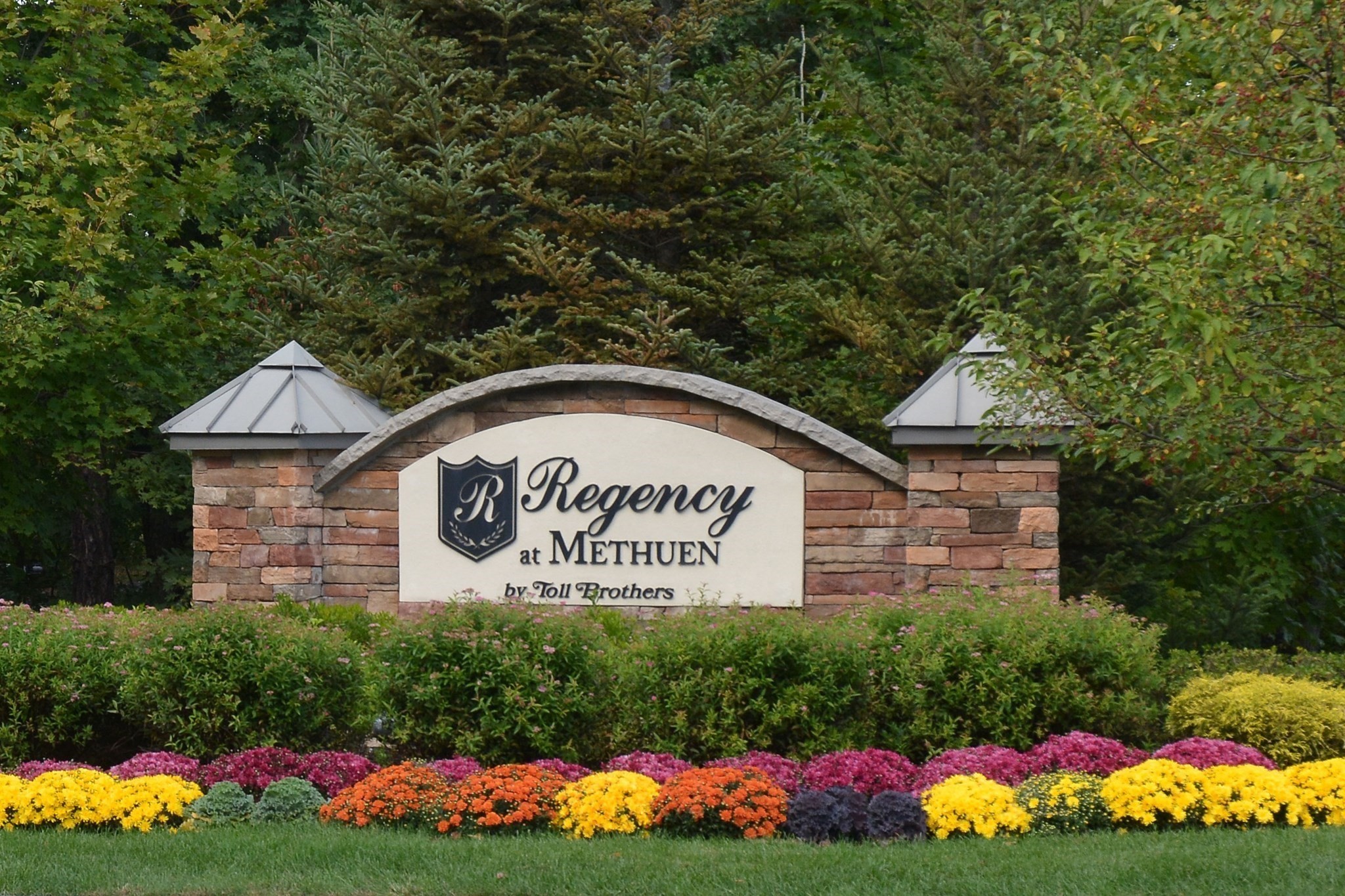methuen - #73411415