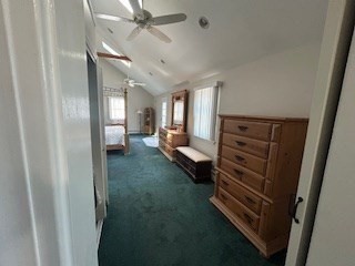melrose - #73411467