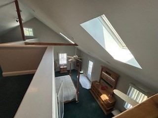 melrose - #73411467
