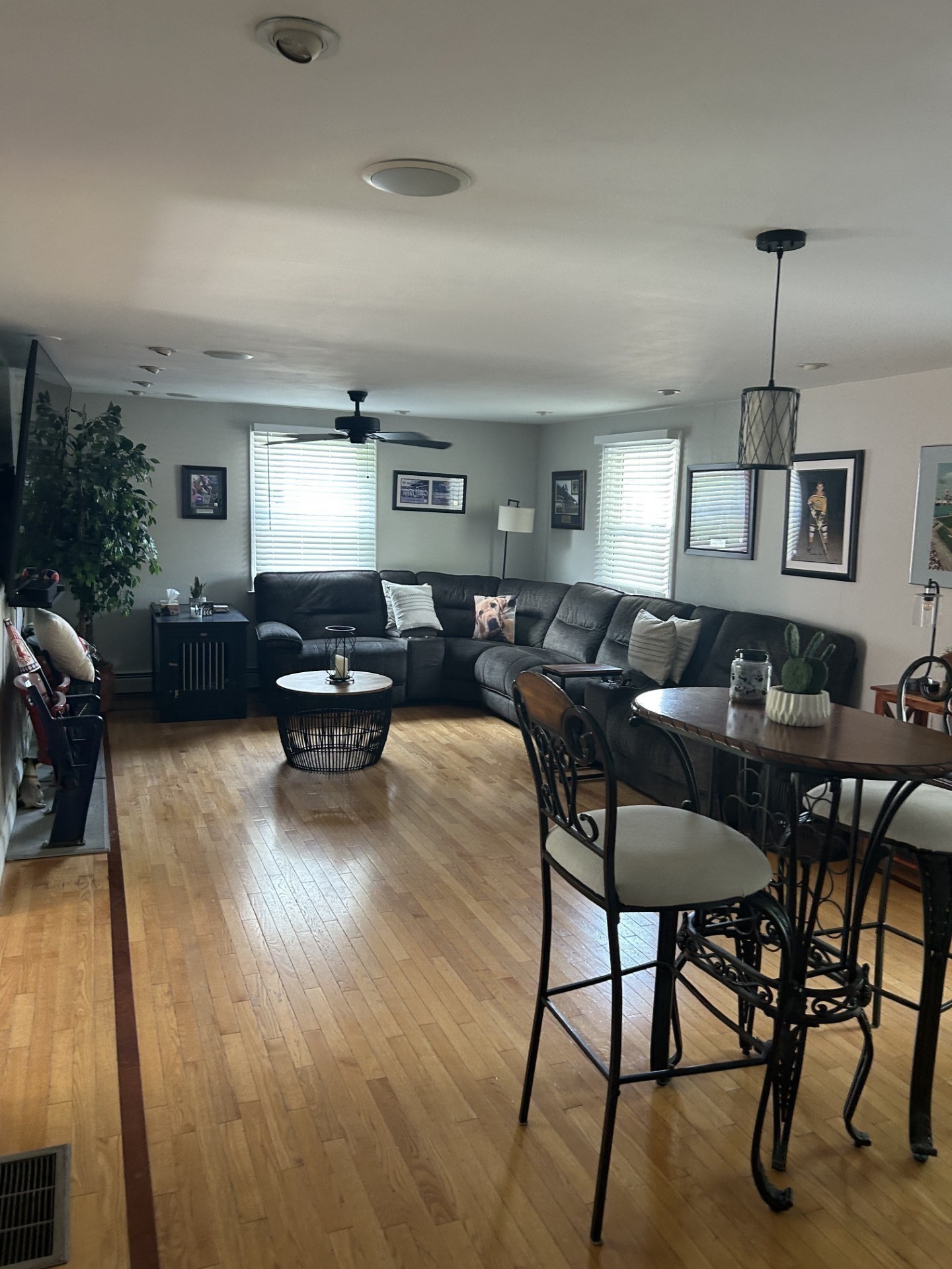 melrose - #73411467