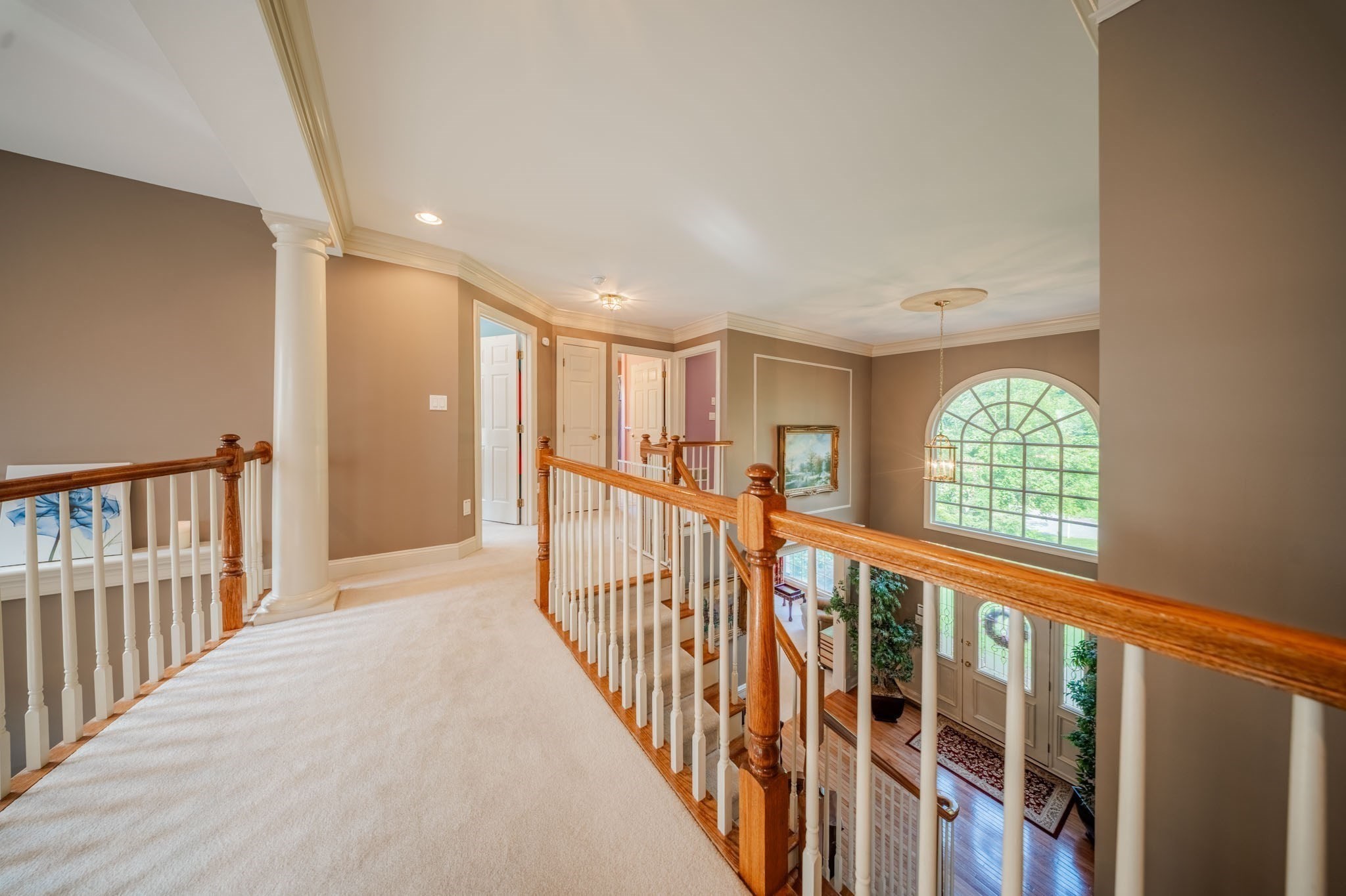 holliston - #73411548