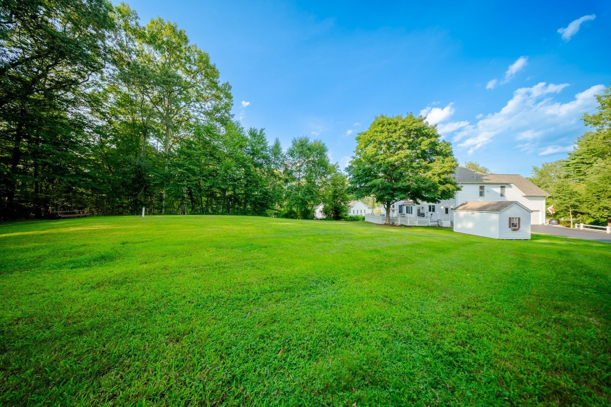 holliston - #73411548