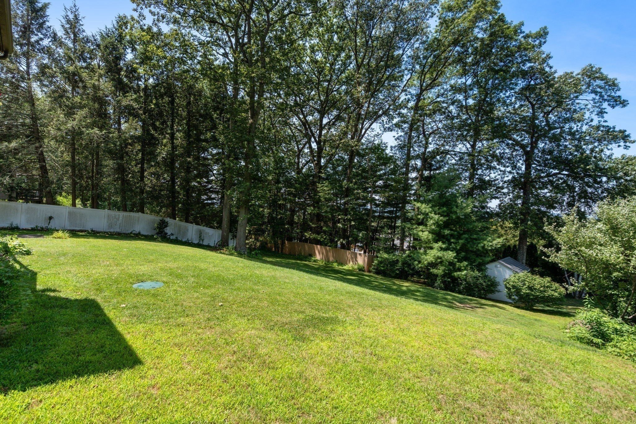 westfield - #73411549