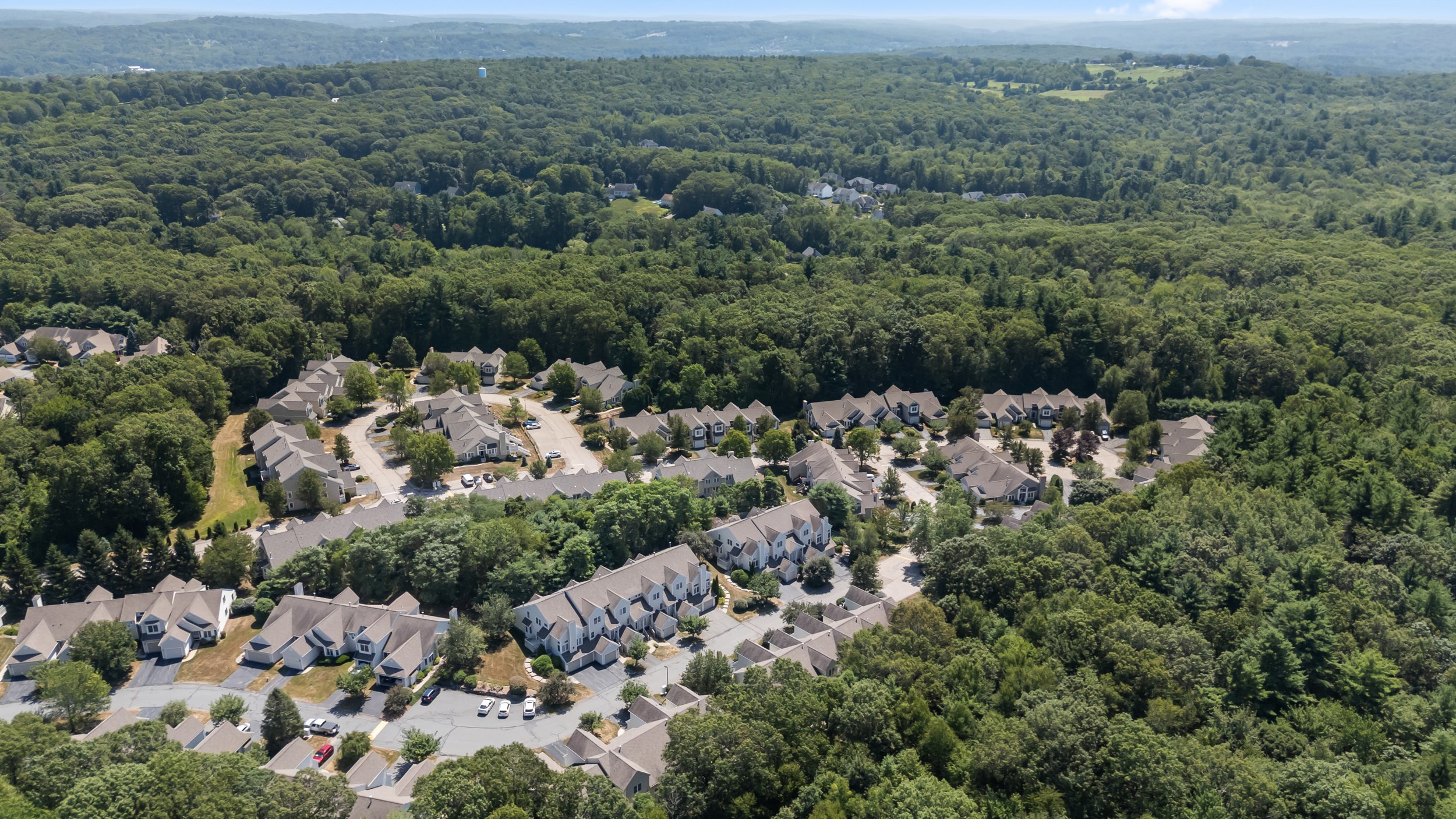 grafton - #73411589