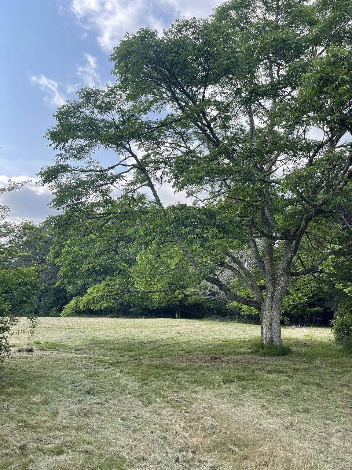 349 Old Fall River Rd, Dartmouth, MA 02747 - Image 2