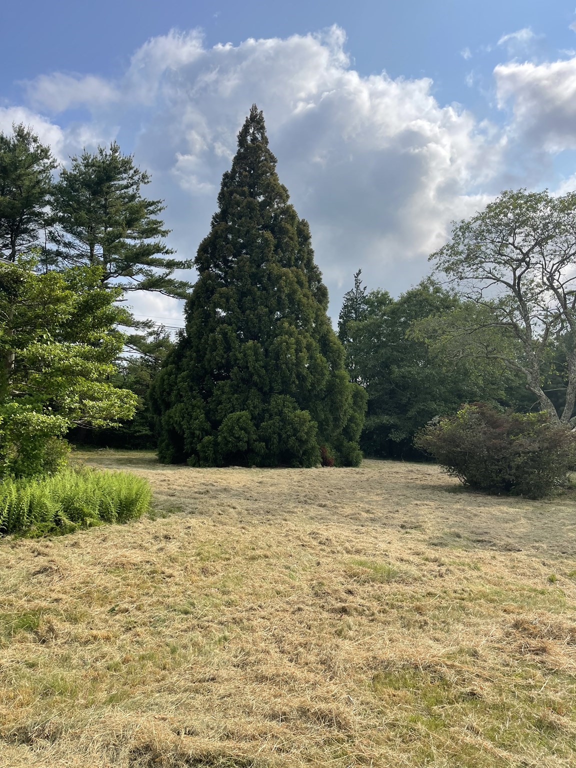 349 Old Fall River Rd, Dartmouth, MA 02747 - Image 4