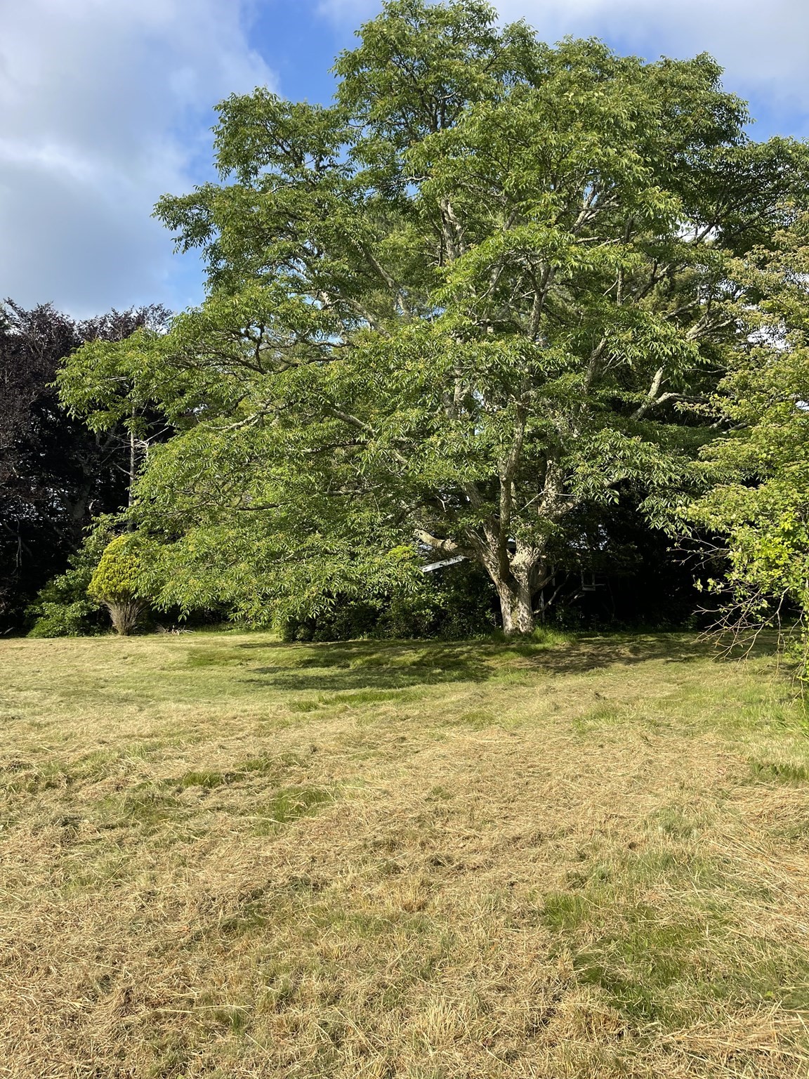 349 Old Fall River Rd, Dartmouth, MA 02747 - Image 6