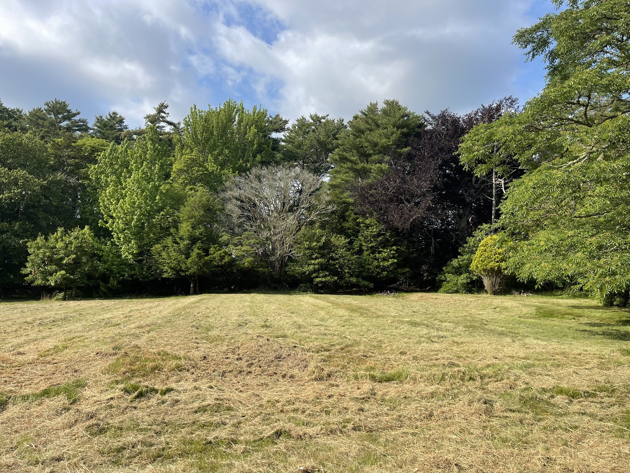 349 Old Fall River Rd, Dartmouth, MA 02747 - Image 7