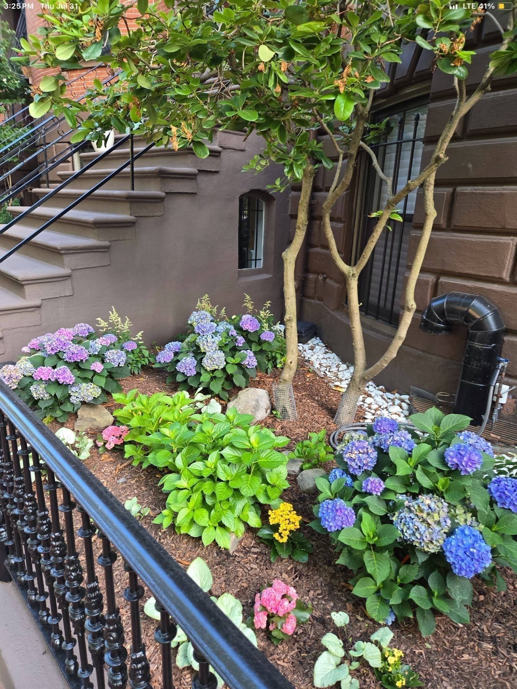 19 Worcester Sq Unit 1, South End, Boston, MA 02118 - Image 3