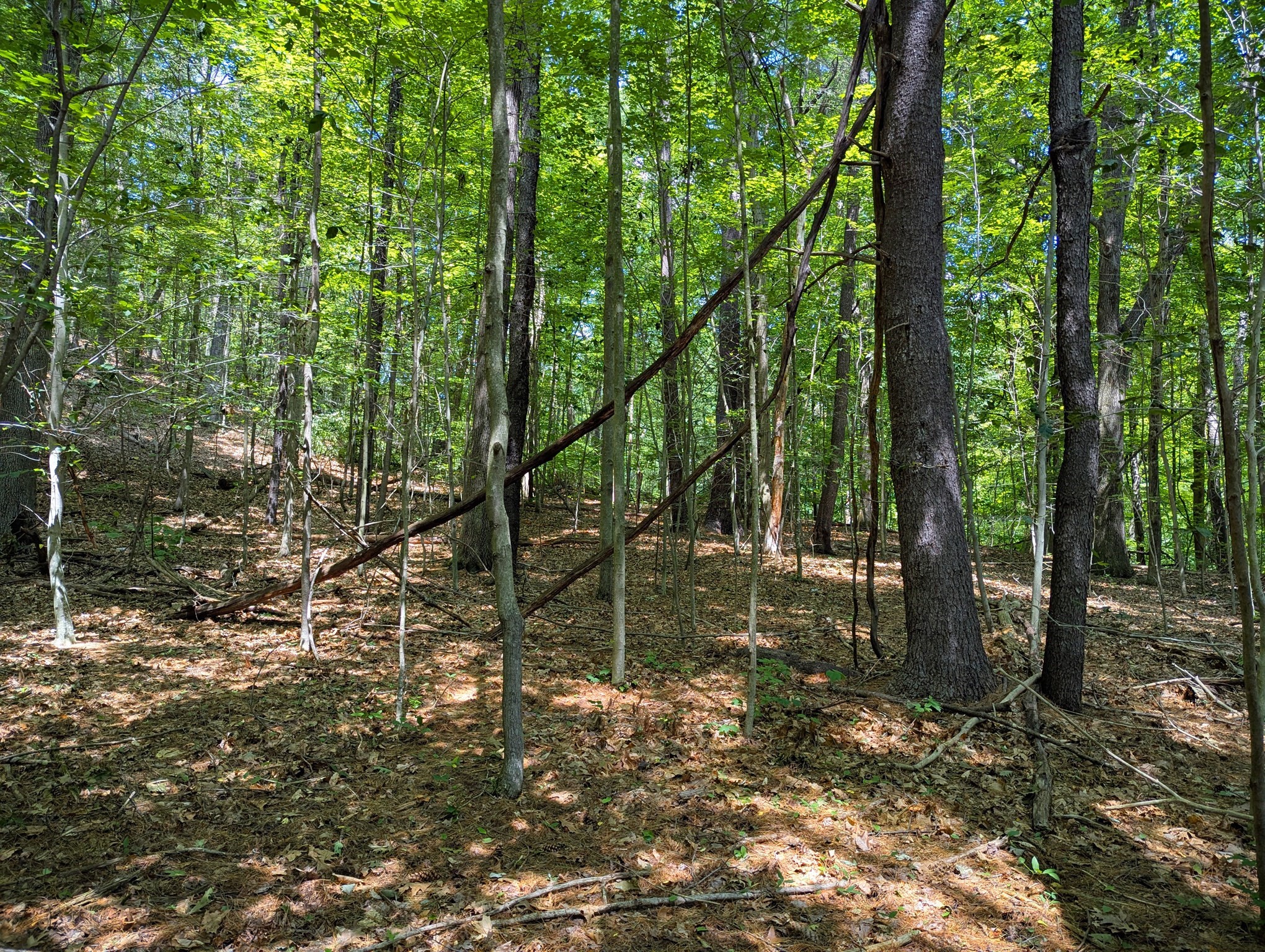 81 Pomeroy Ter, Russell, MA 01071 - Image 12