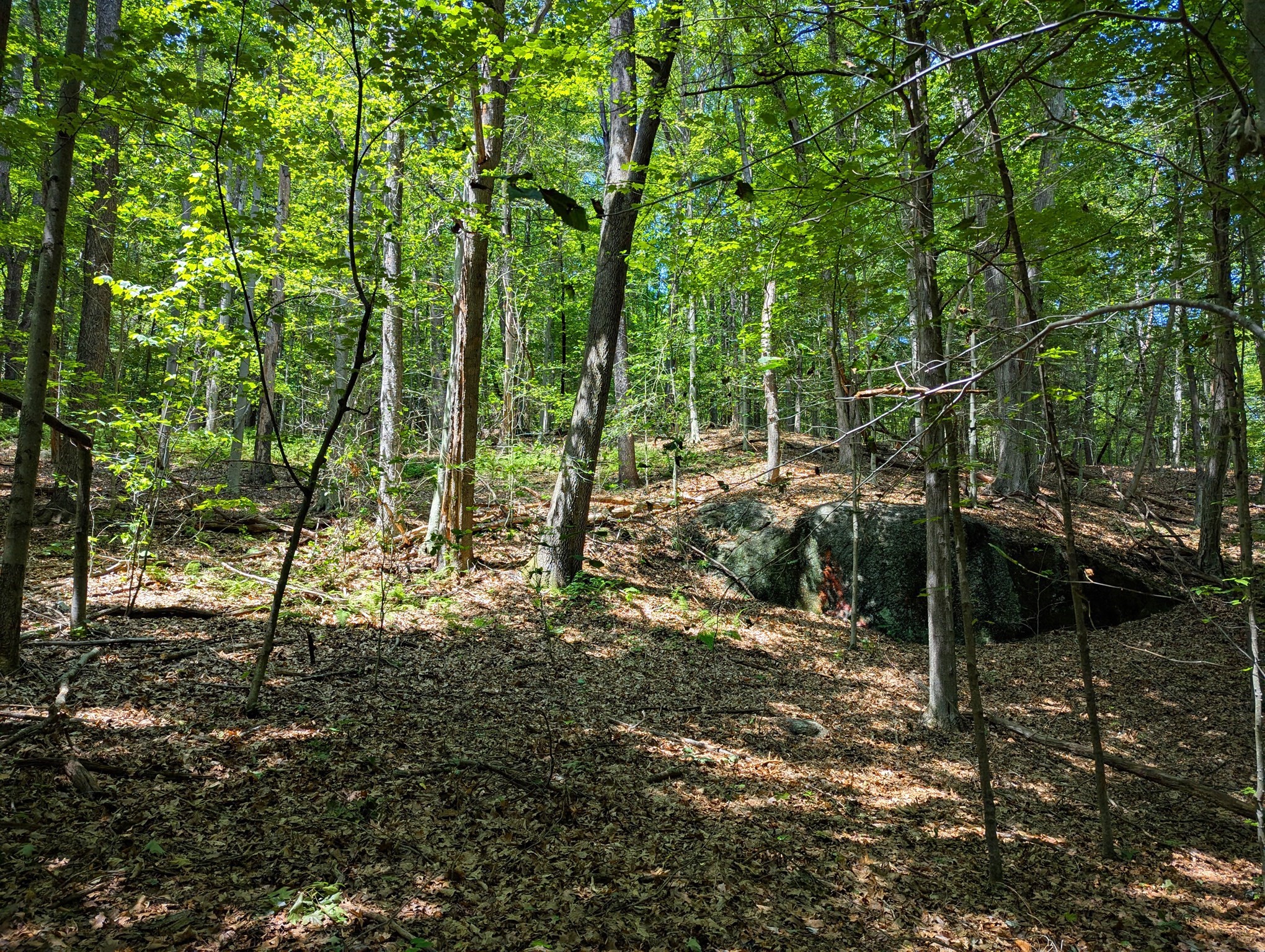 81 Pomeroy Ter, Russell, MA 01071 - Image 13