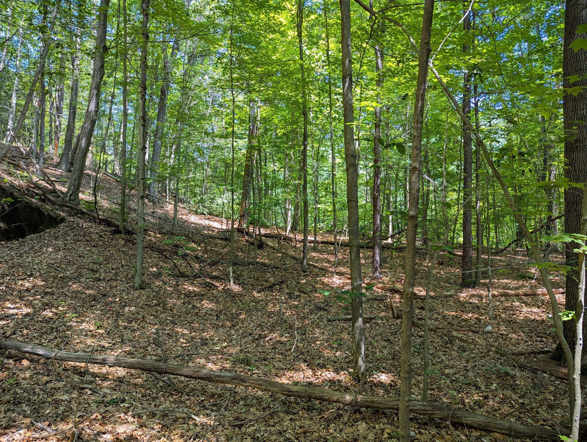 81 Pomeroy Ter, Russell, MA 01071 - Image 14