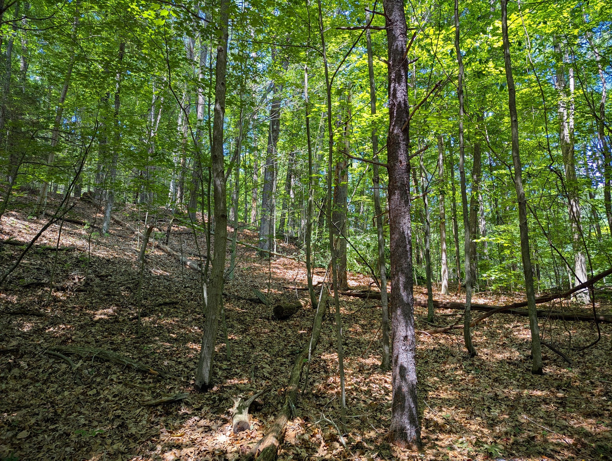 81 Pomeroy Ter, Russell, MA 01071 - Image 15