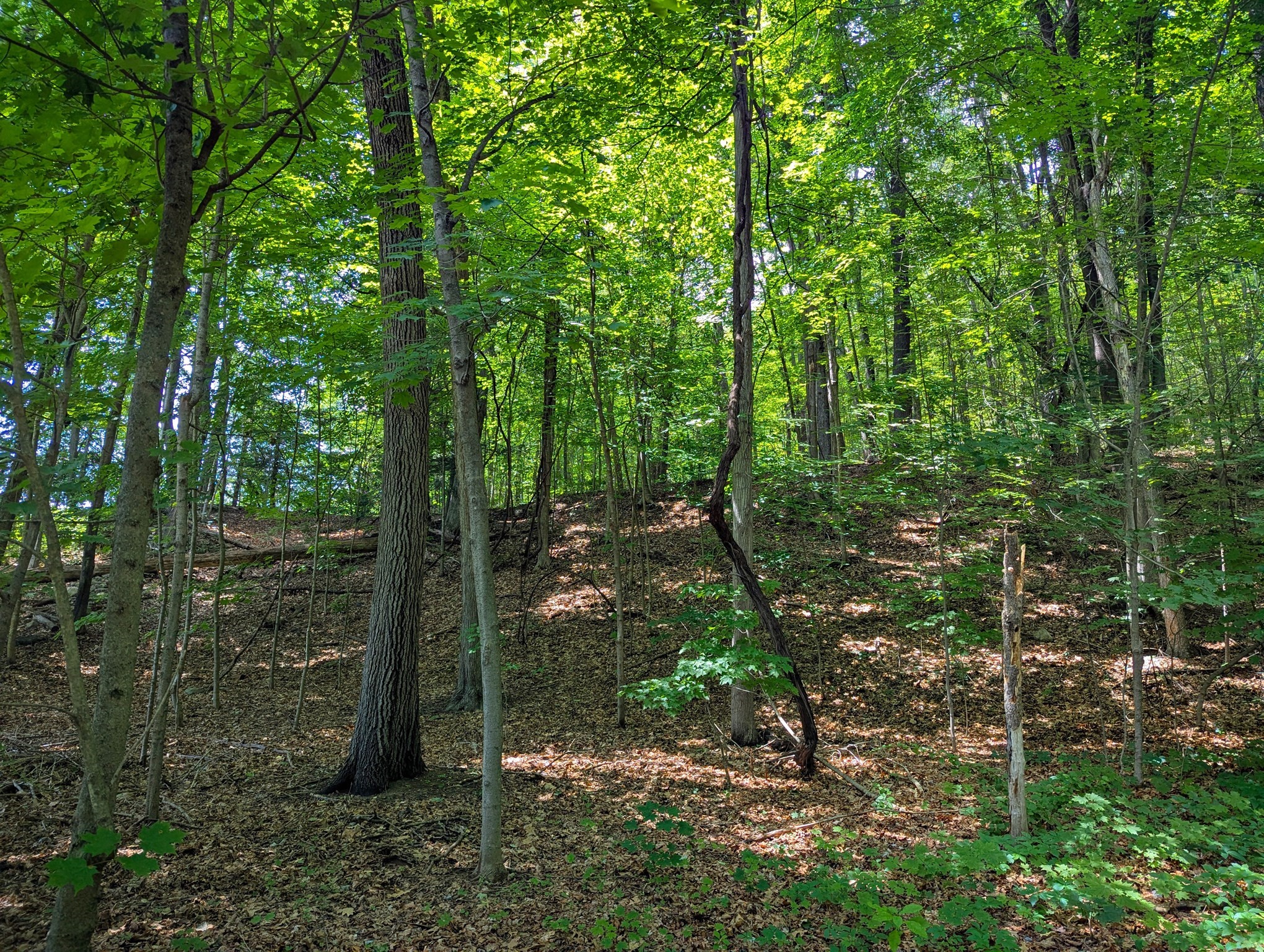 81 Pomeroy Ter, Russell, MA 01071 - Image 6