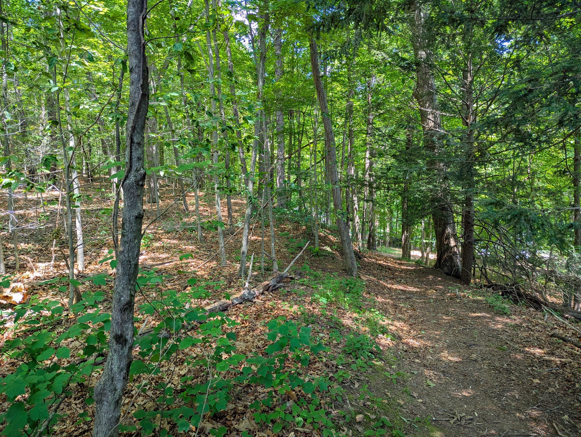 81 Pomeroy Ter, Russell, MA 01071 - Image 10