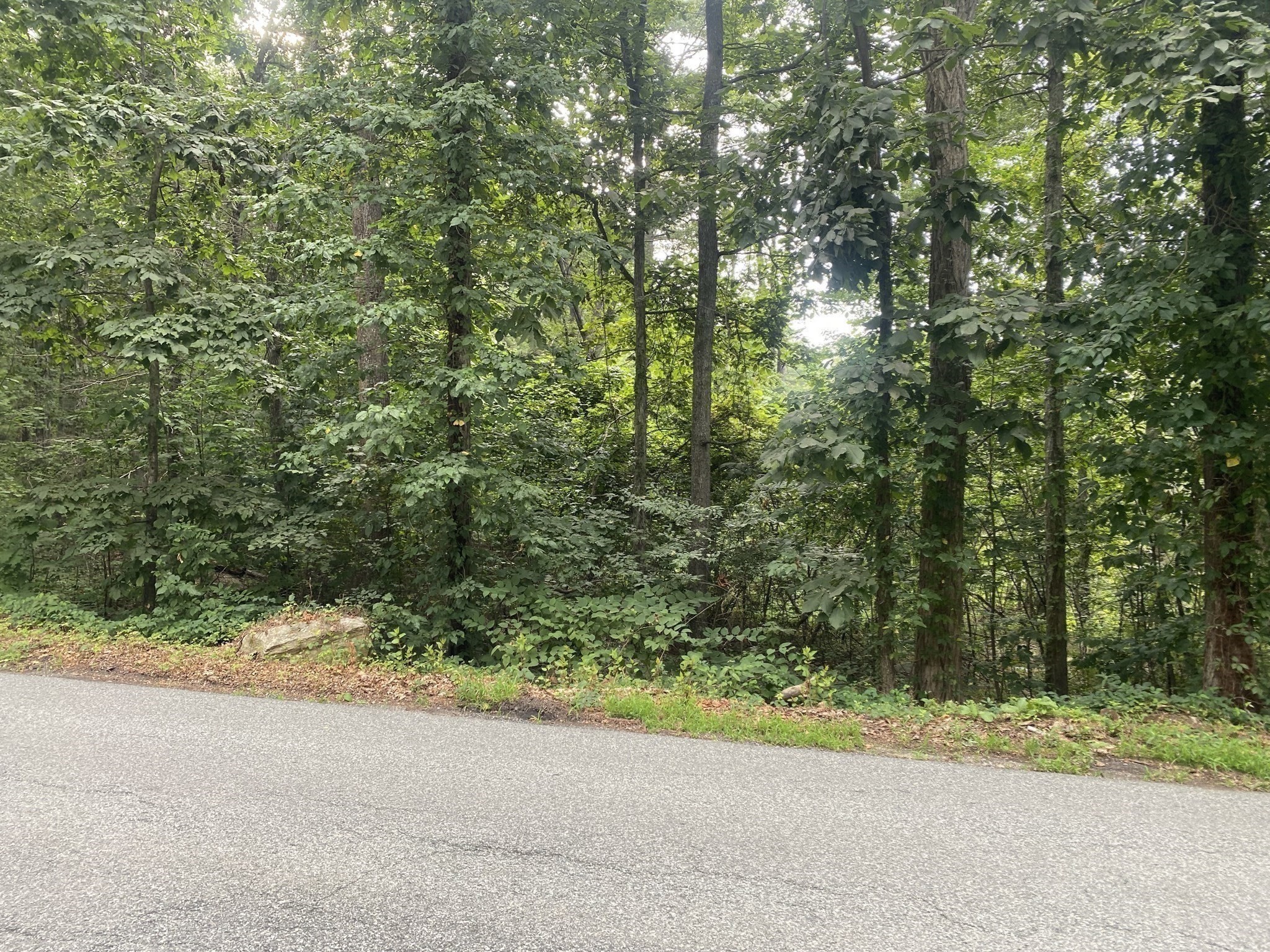 70 Hill St, Millville, MA 01529 - Image 4