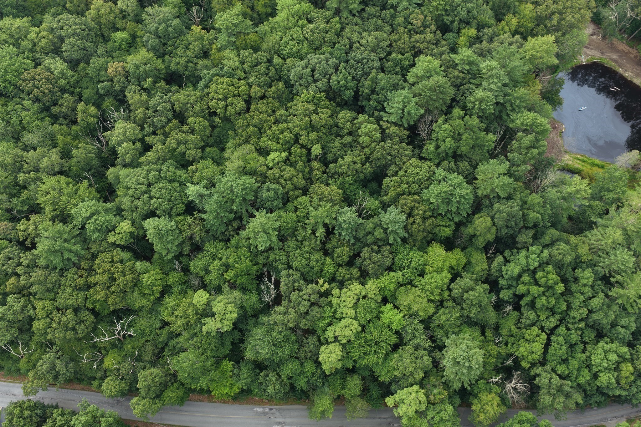 70 Hill St, Millville, MA 01529 - Image 6