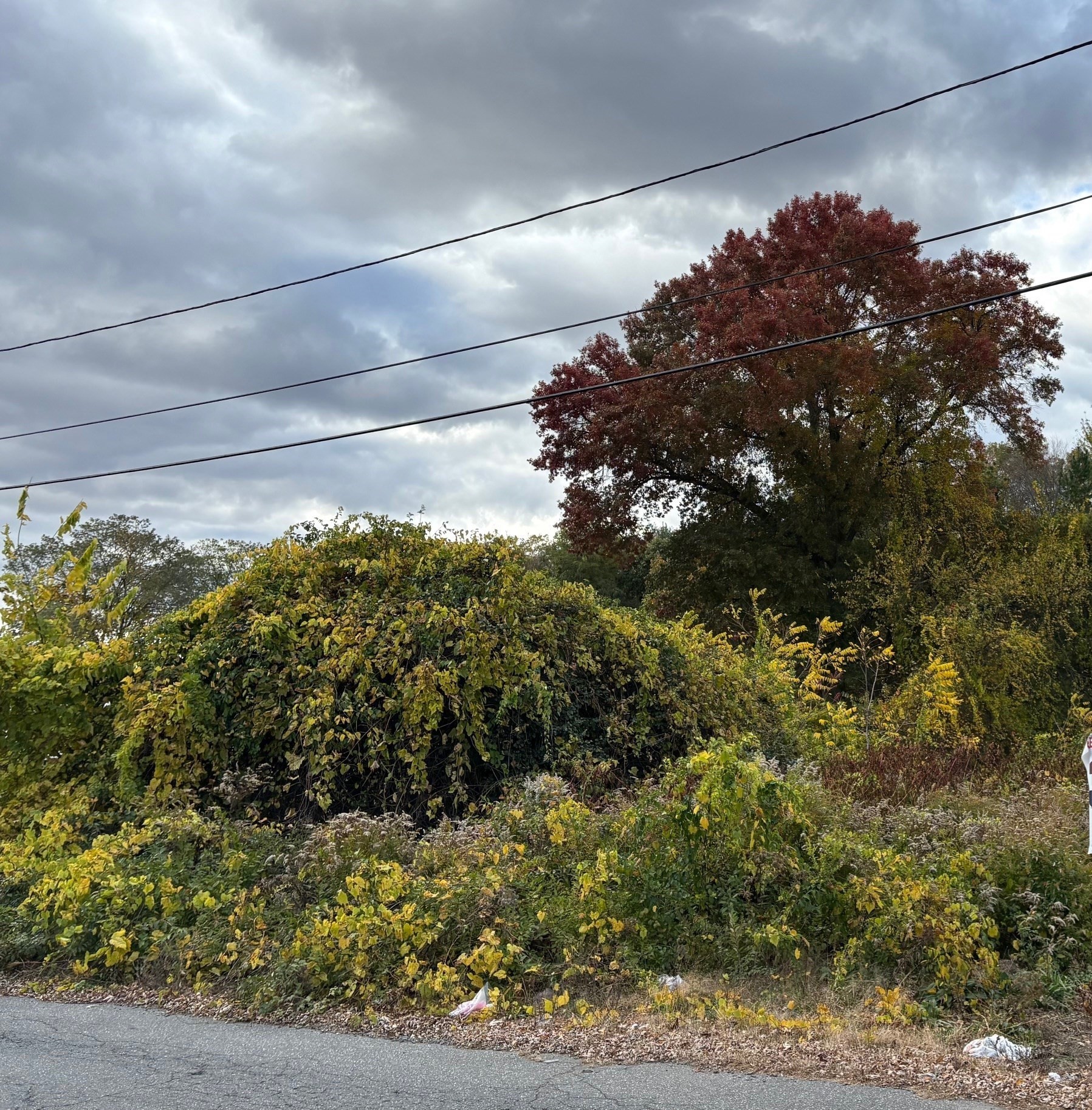 24 Dumaine St, Wilbraham, MA 01095 - Image 2