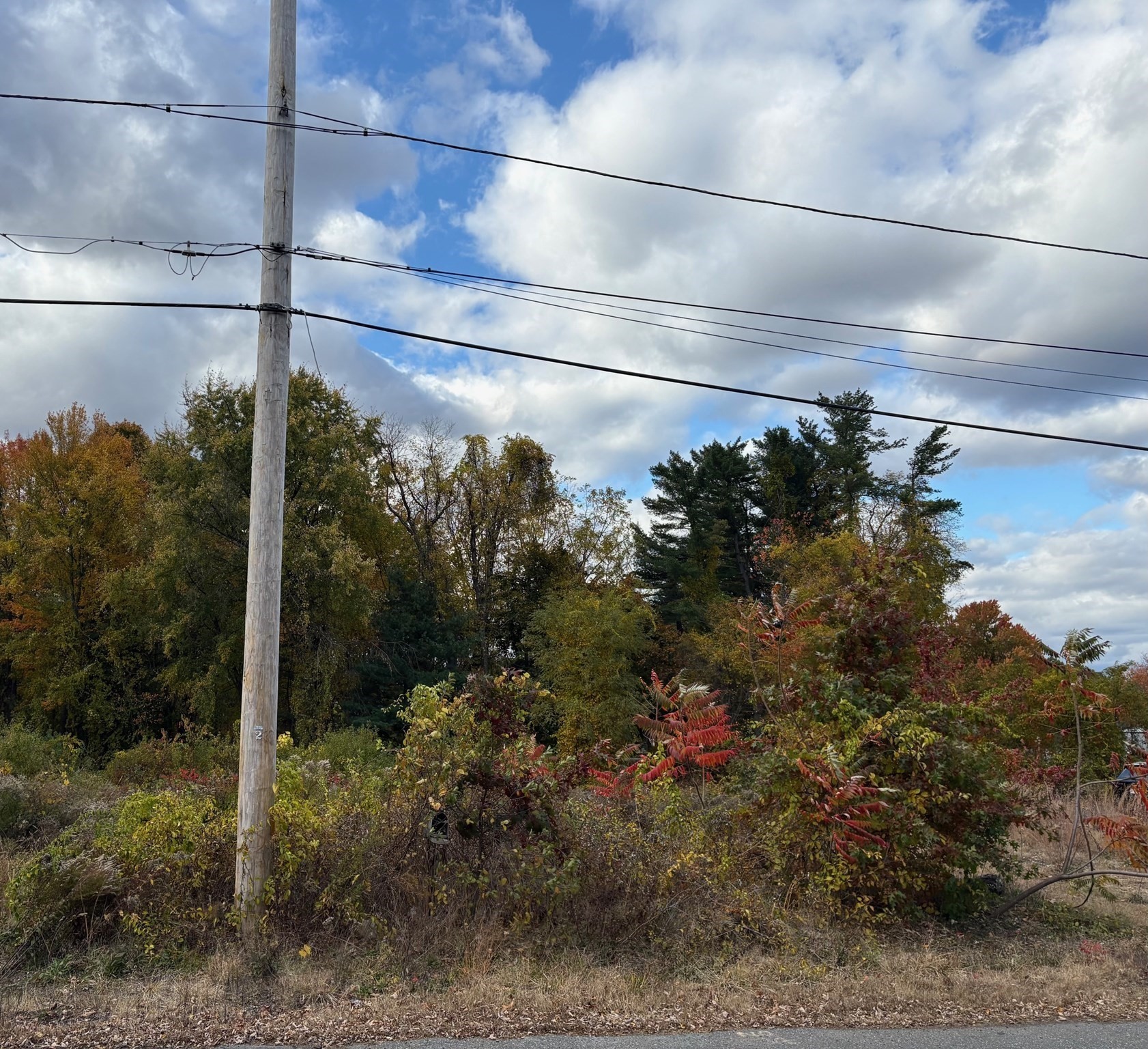 24 Dumaine St, Wilbraham, MA 01095 - Image 3