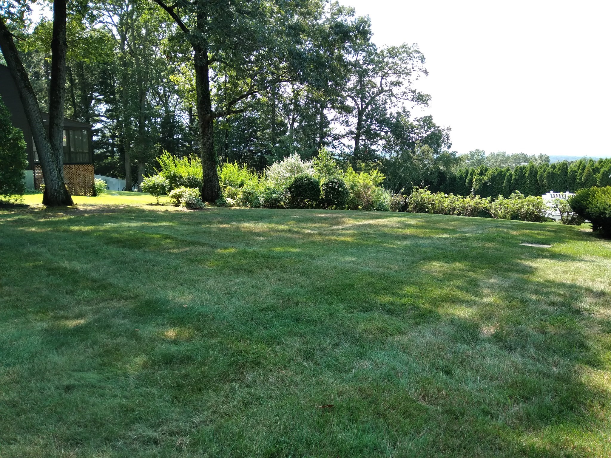 westfield - #73412671