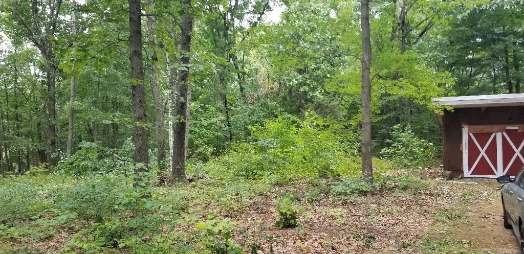 0 Nash Hill Rd, Ludlow, MA 01056 - Image 3