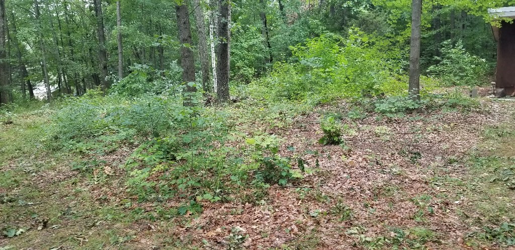 0 Nash Hill Rd, Ludlow, MA 01056 - Image 4