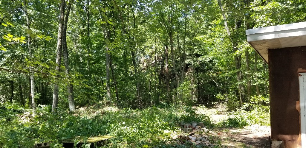 0 Nash Hill Rd, Ludlow, MA 01056 - Image 5