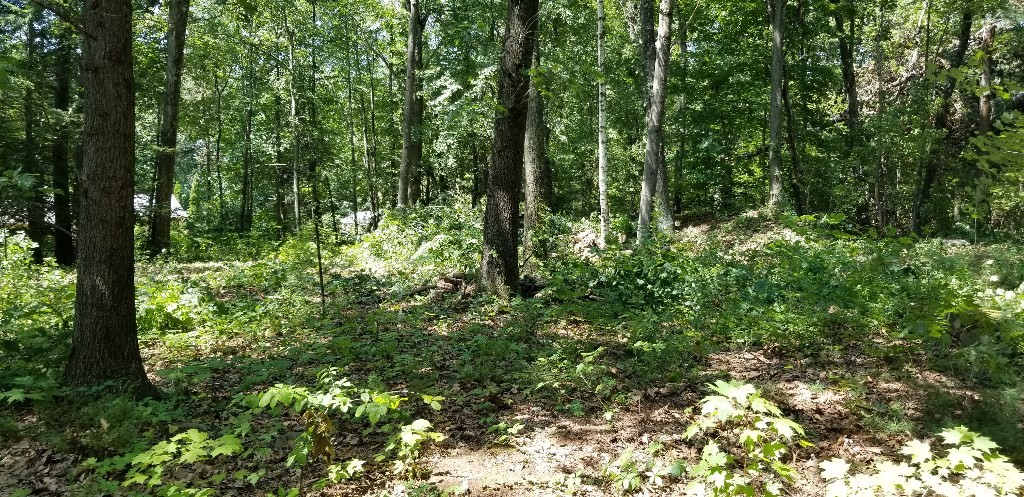 0 Nash Hill Rd, Ludlow, MA 01056 - Image 6