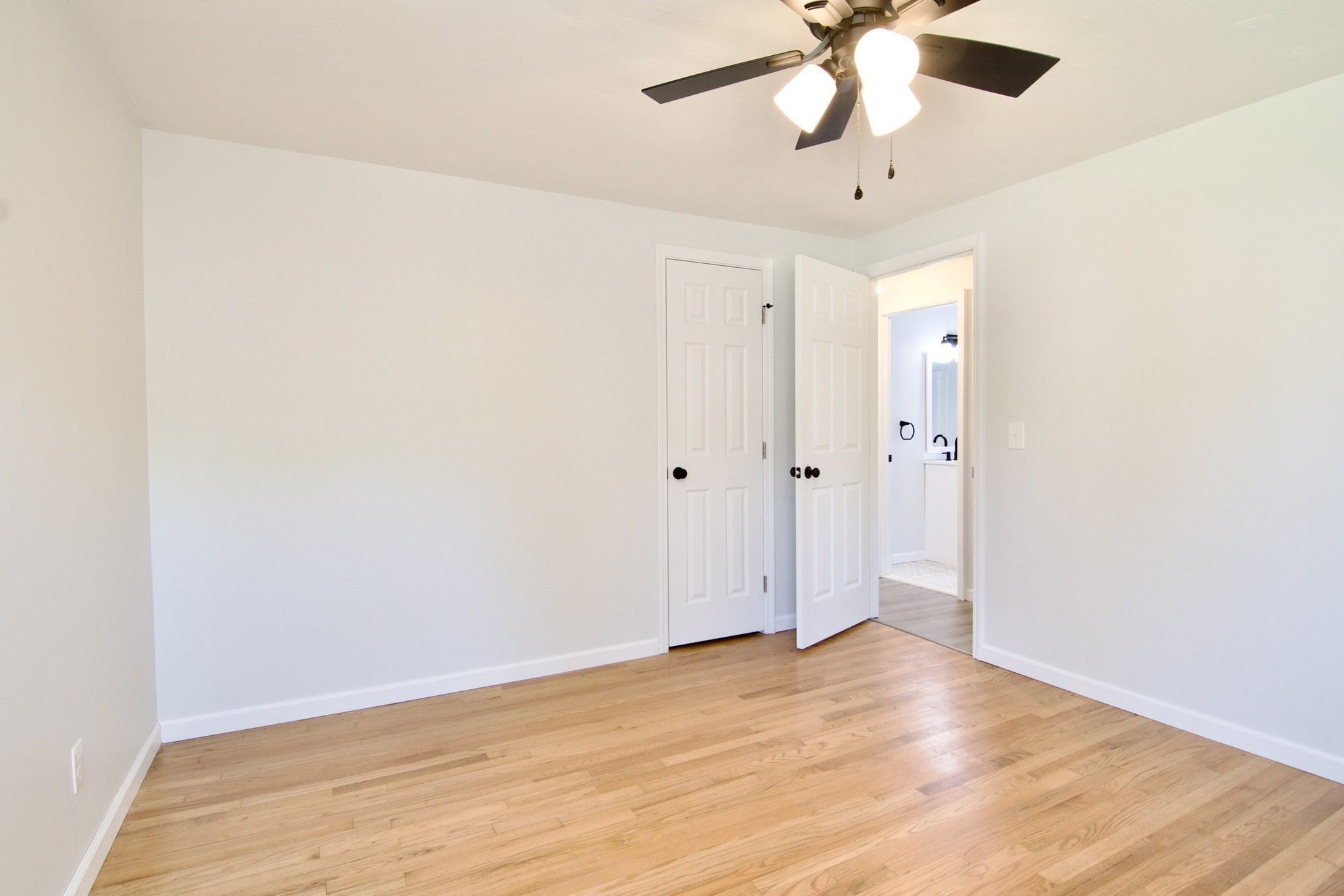 chicopee - #73413110