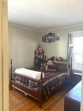 springfield - #73413183