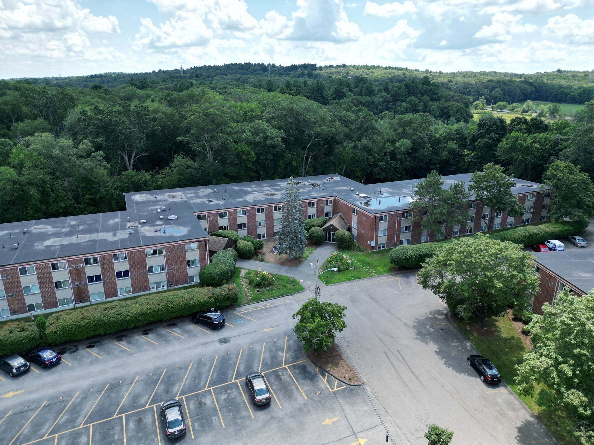 framingham - #73413337