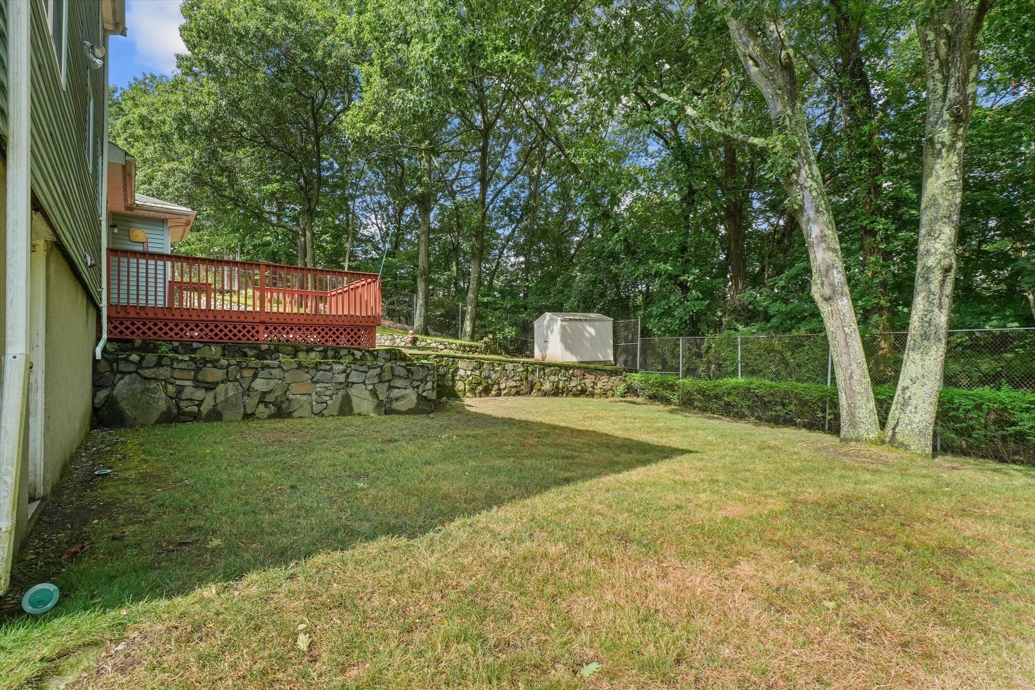 lynn - #73413411