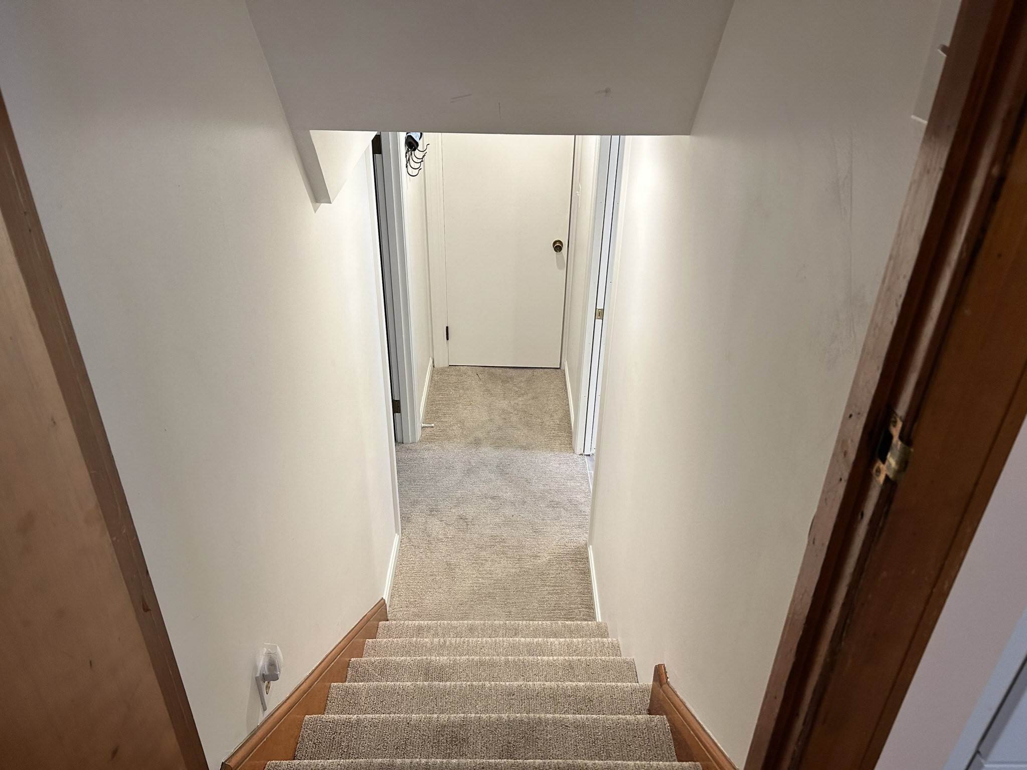 dedham - #73413552
