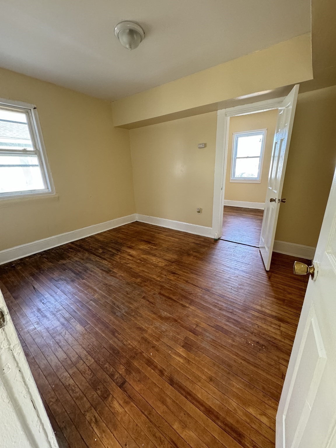 worcester - #73413693