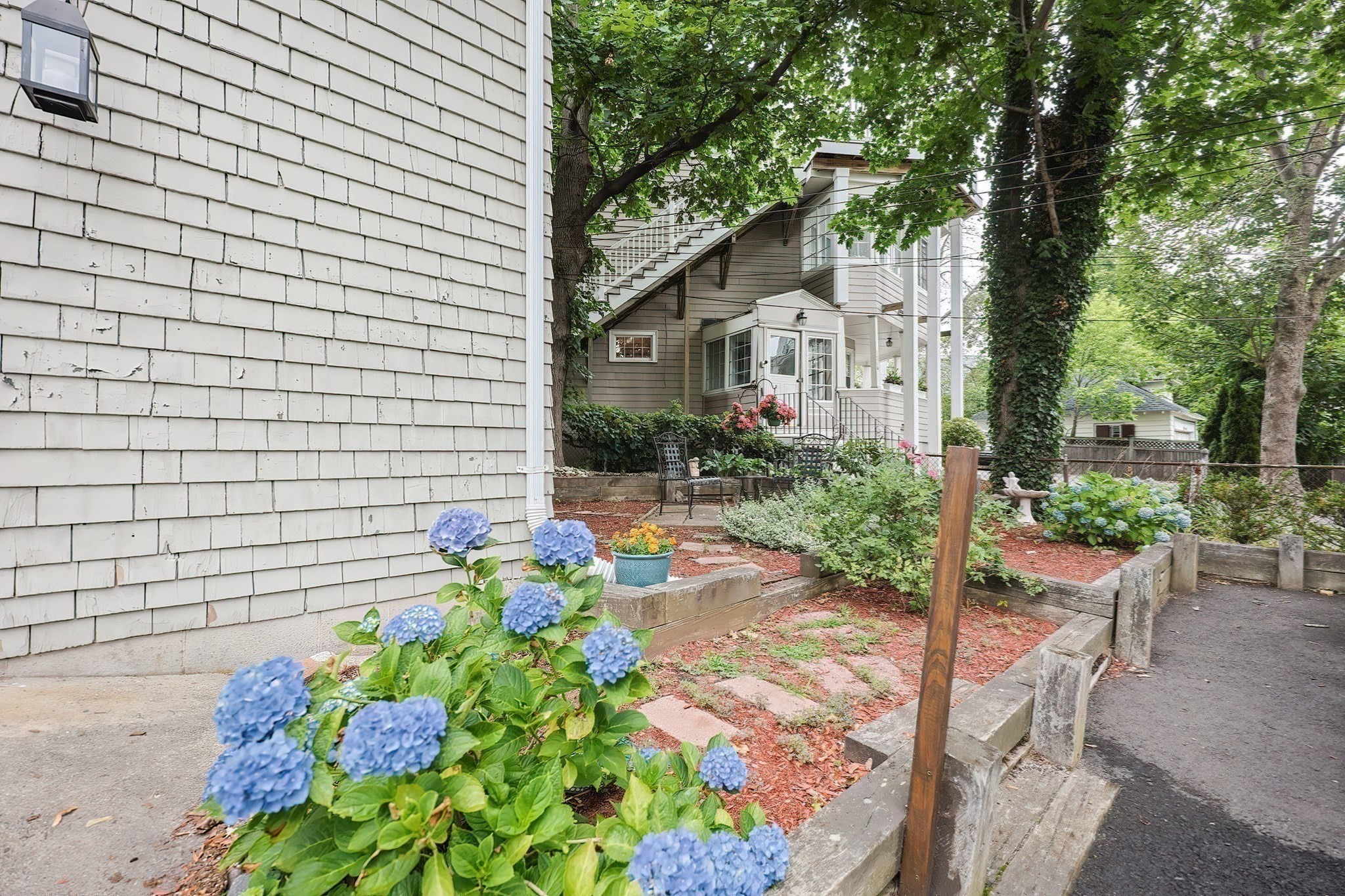 lynn - #73413734