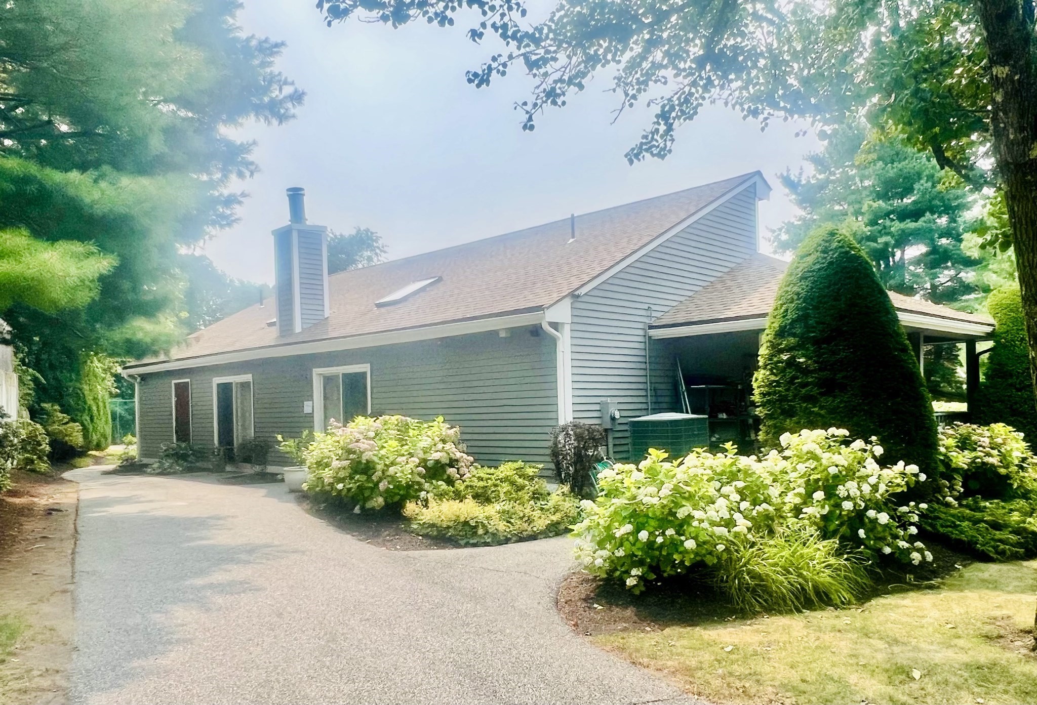 salem - #73414048