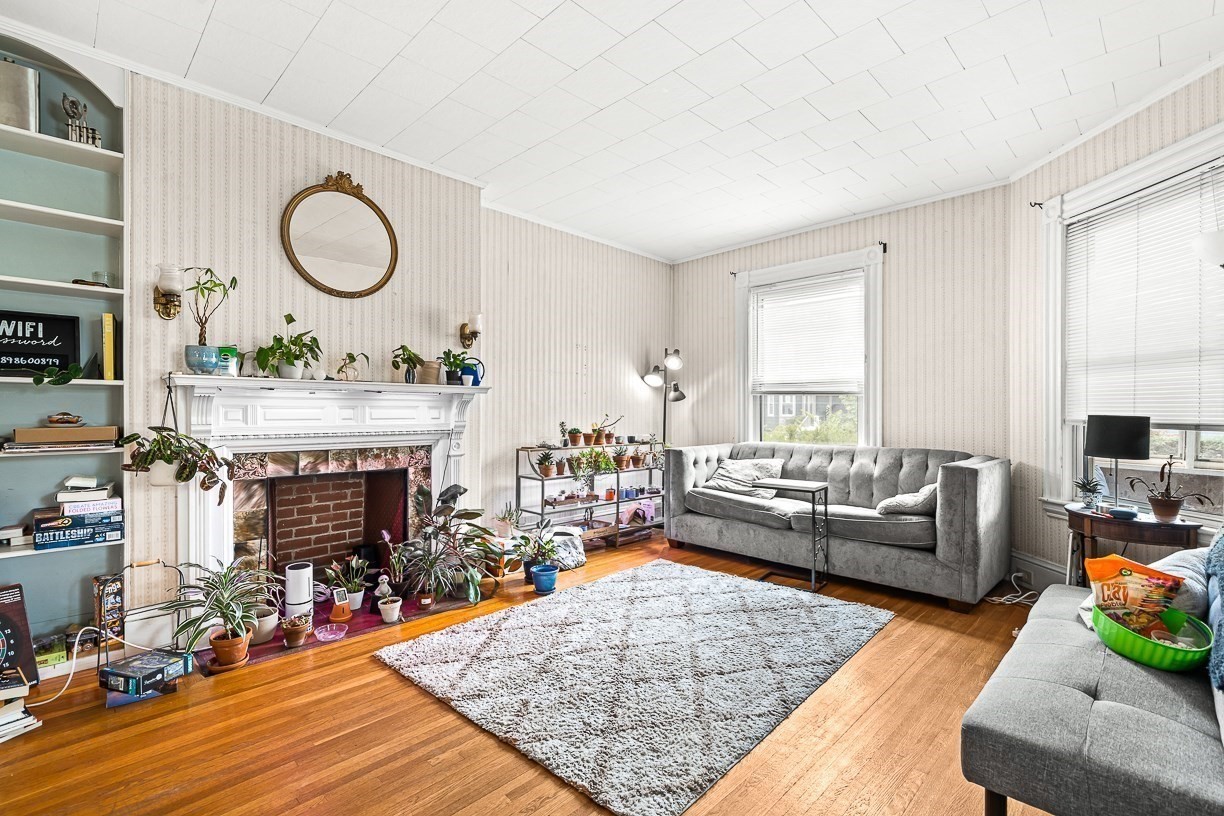 lower-allston - #73414451