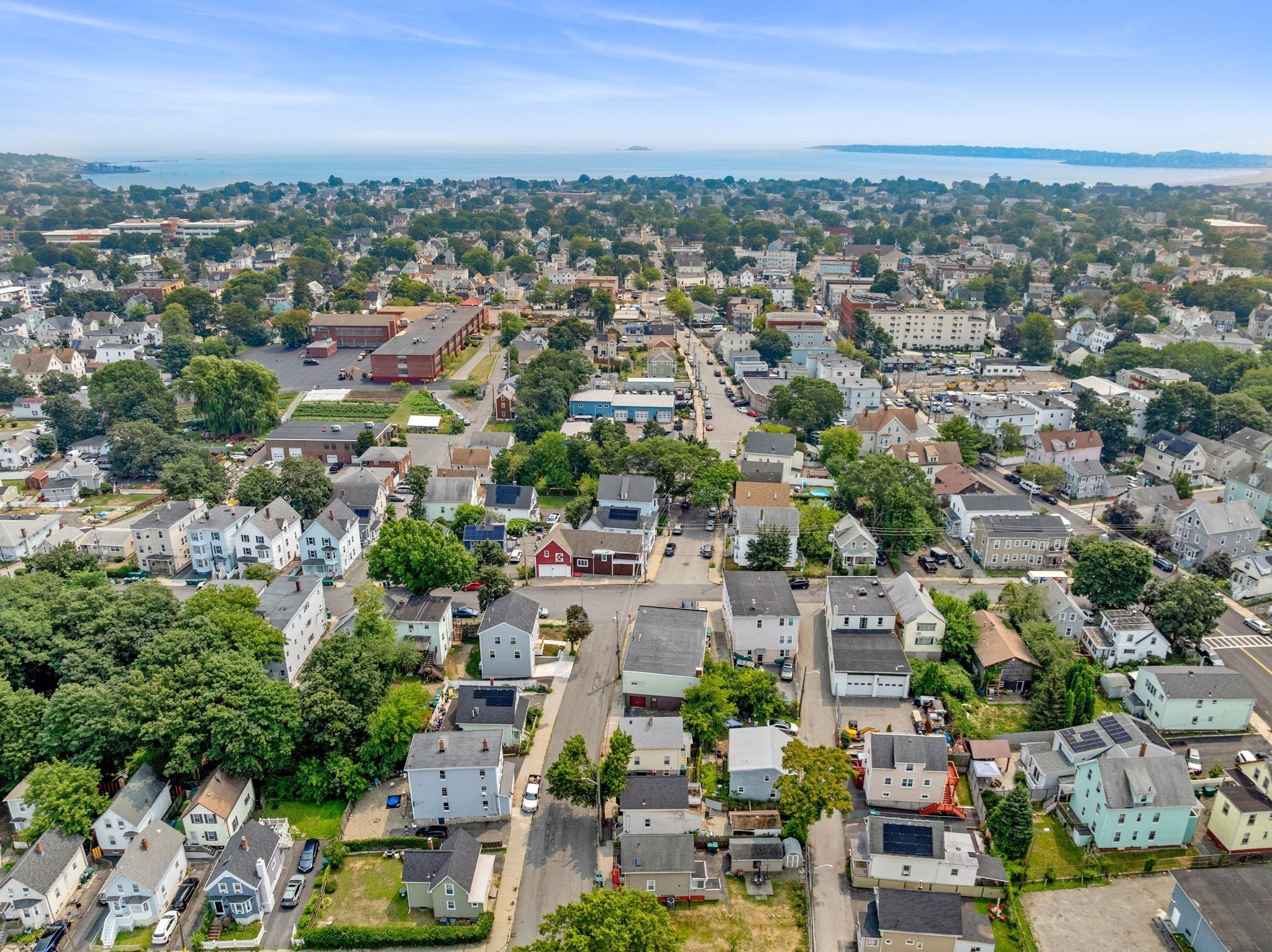 lynn - #73414466