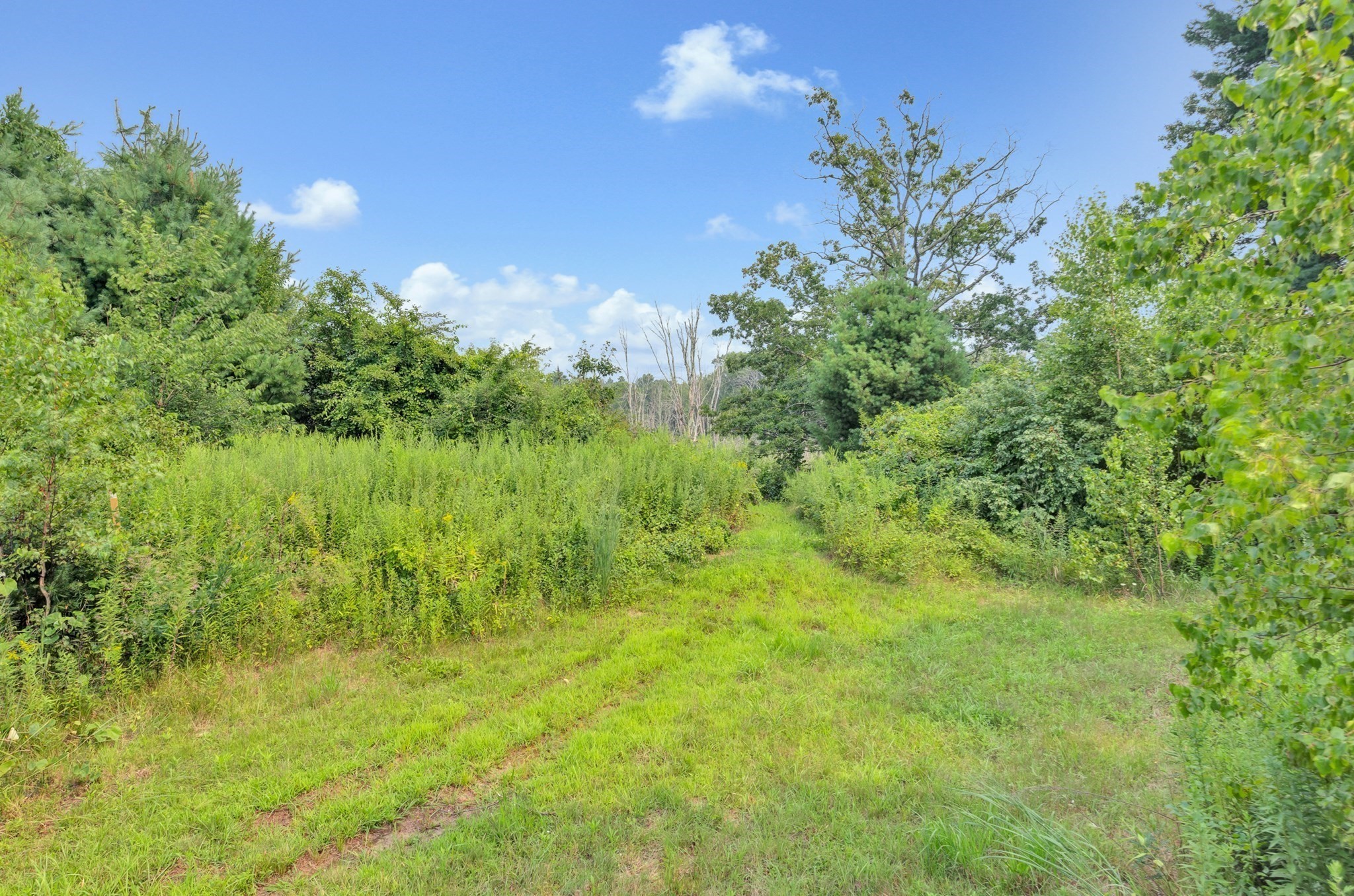 millis - #73414480