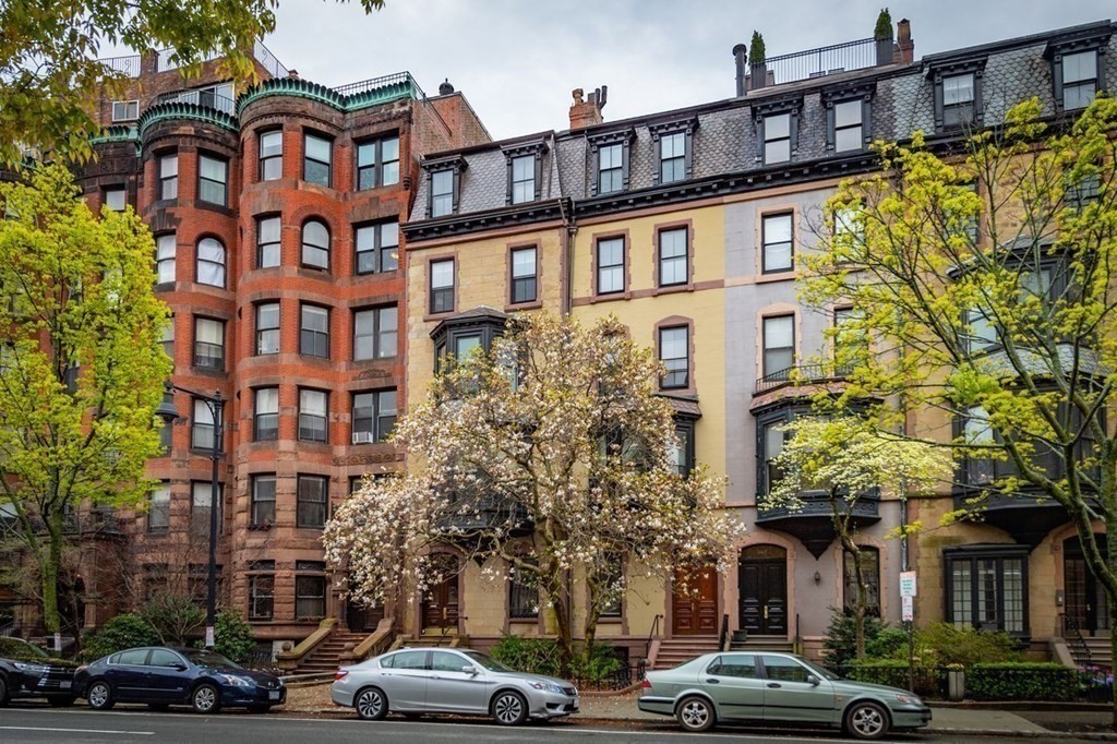 back-bay - #73414796