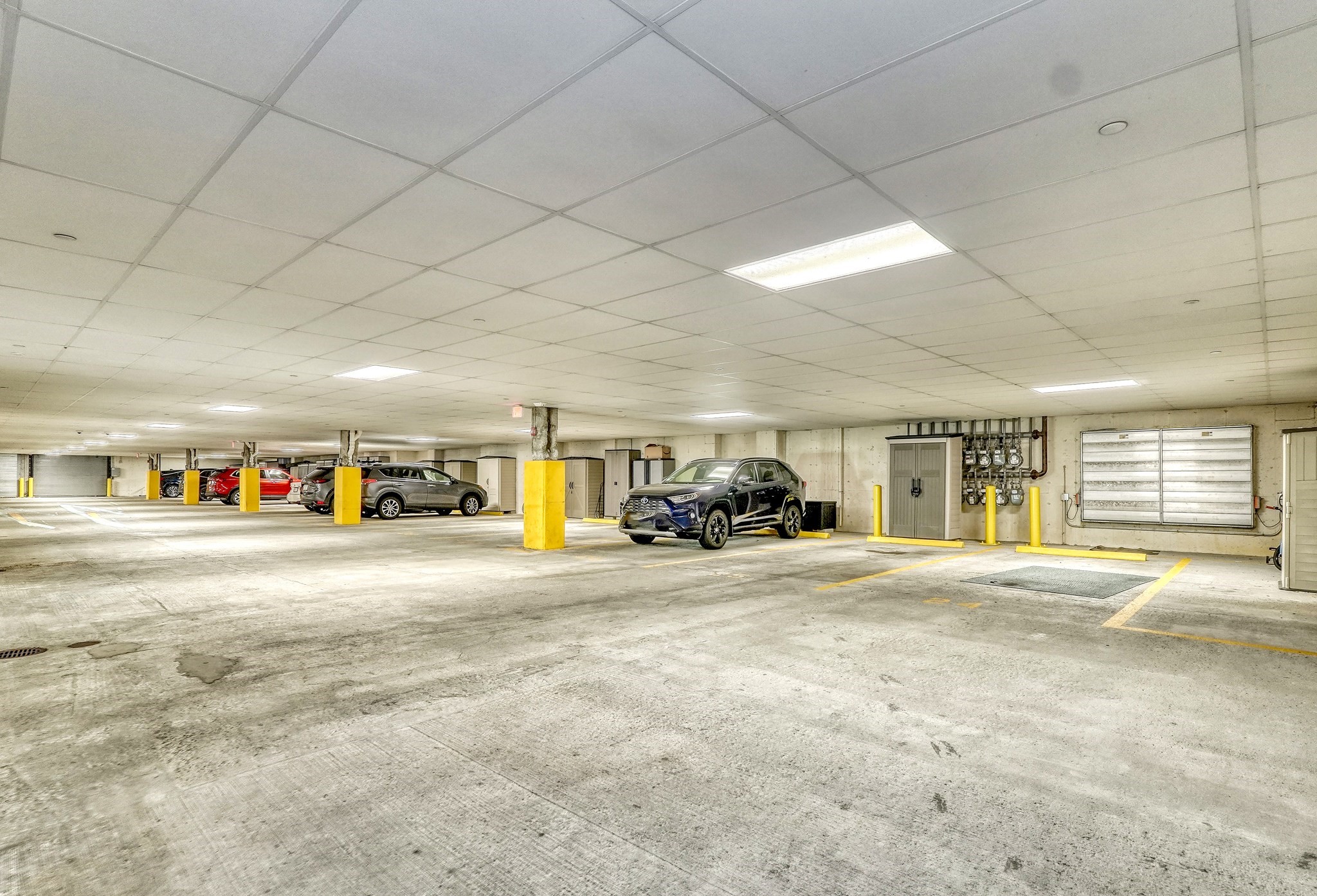 braintree - #73414873