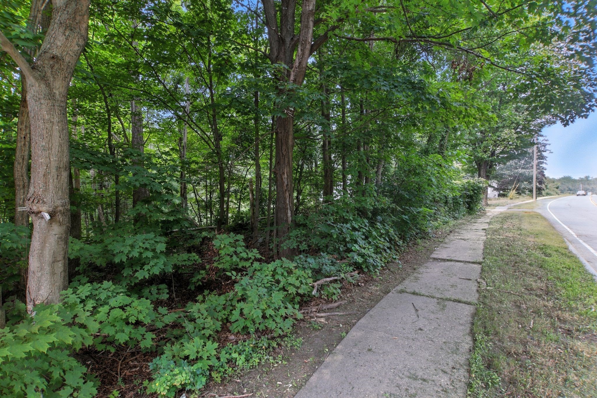 0 Shearer, Willis &thorndike St, Palmer, MA 01069 - Image 18