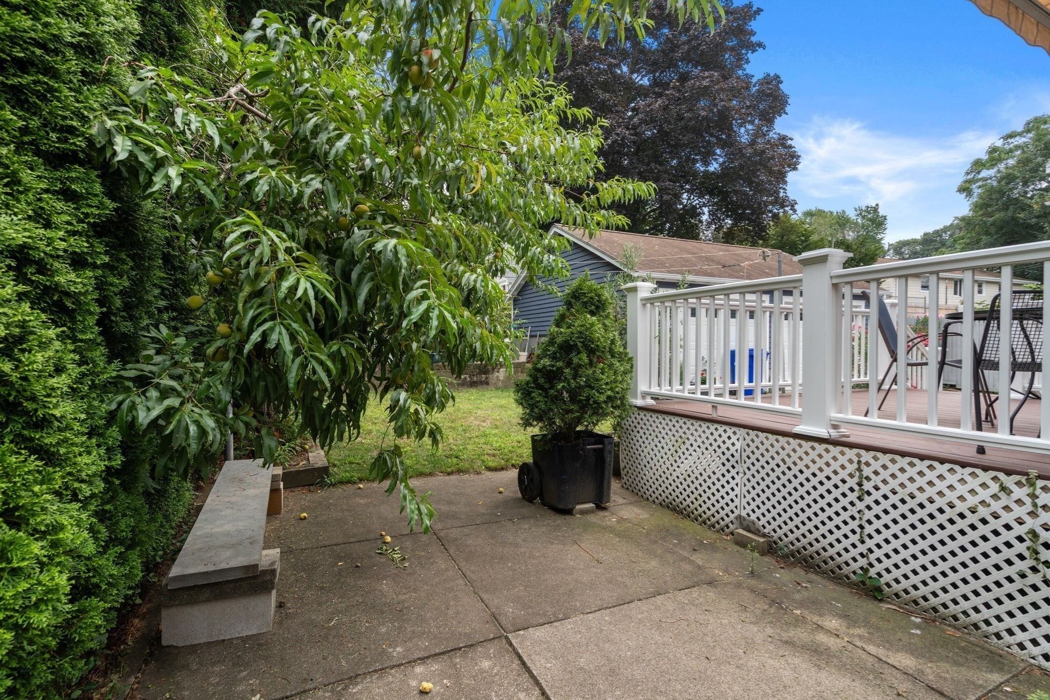 brighton - #73414956