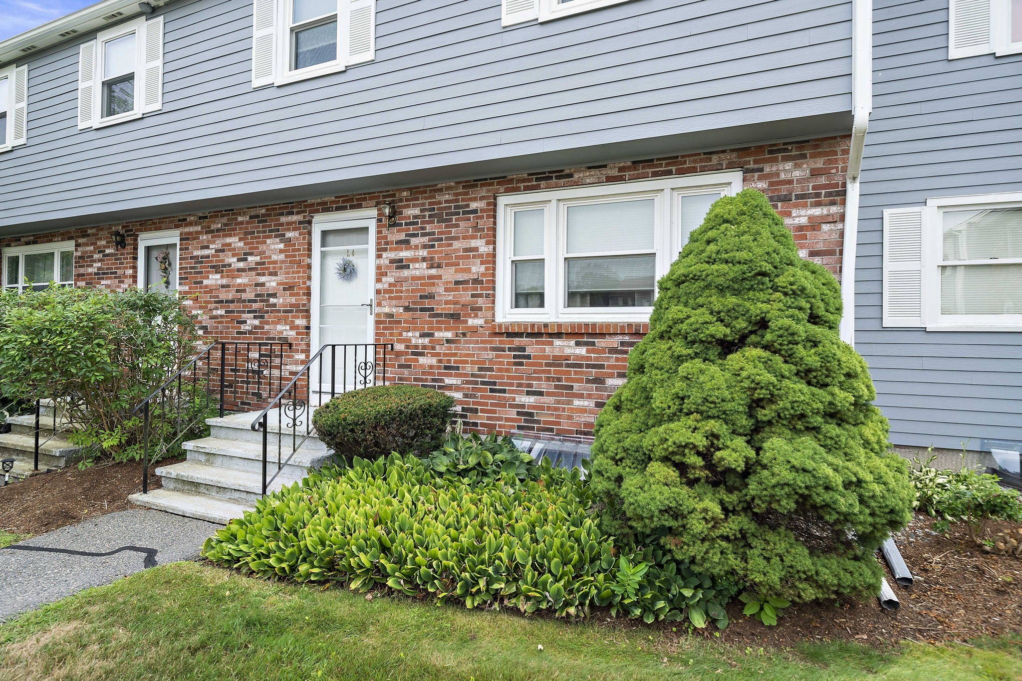 randolph - #73414978