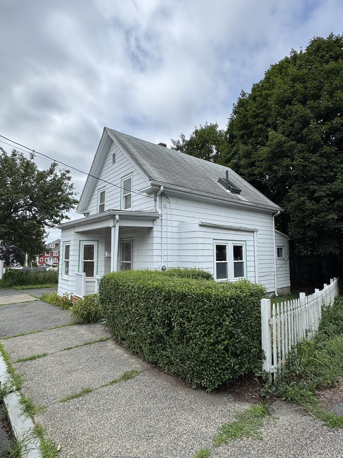 lynn - #73415060